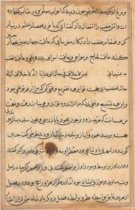 Seite aus den Geschichten eines Papageis Tuti-nama: Textseite, ca. 1560