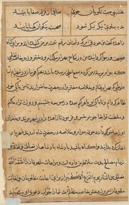 Seite aus Geschichten eines Papageis Tuti-nama: Textseite, ca. 1560 von Unbekannt