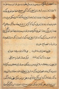 Seite aus den Geschichten eines Papageis Tuti-nama: Textseite, ca. 1560 von Unbekannt