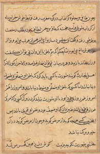 Seite aus Geschichten eines Papageis Tuti-nama: Textseite, ca. 1560 von Unbekannt