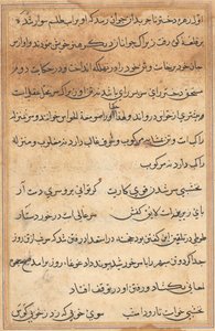 Seite aus Geschichten eines Papageis Tuti-nama: Textseite, ca. 1560 von Unbekannt