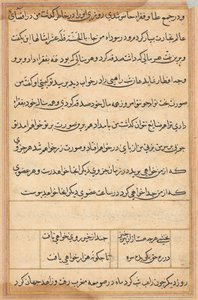 Seite aus Geschichten eines Papageis Tuti-nama: Textseite, ca. 1560 von Unbekannt