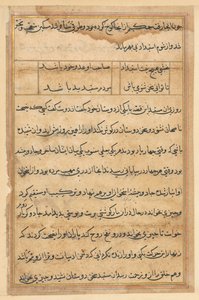 Seite aus Geschichten eines Papageis Tuti-nama: Textseite, ca. 1560 von Unbekannt