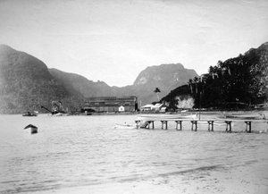 Pago Pago Hafen, auf der Insel Tutuila, Amerikanisch-Samoa, 1889 von Unbekannt