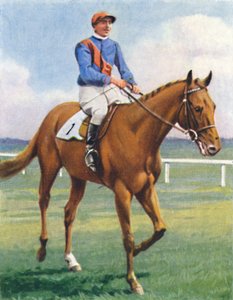 Panorama, Jockey: P. Beasley, 1939