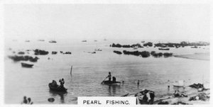 Perlenfischen, Australien