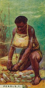 Perlen 1. Einheimischer Taucher bei der Arbeit, Ceylon, 1928 von Unbekannt