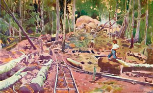 Durchdringen des Amazonaswaldes - Madeira-Mamoré-Eisenbahn, 1914