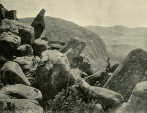 Pinnacle & Orgelpfeifen, Mount Wellington, 1901 von Unbekannt