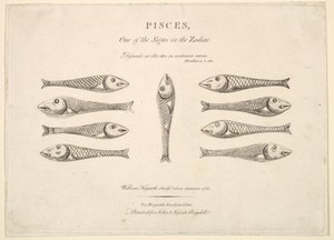 Fische: Hogarths Quadrille-Fische, ca. 1730 von Unbekannt