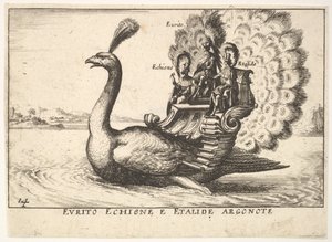Tafel 14: Die Argonauten Eurytus, Echion und Aethalides