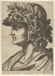 Tafel 4: Caius im Profil nach links blickend, aus 