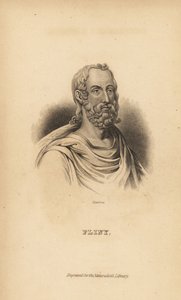 Plinius der Ältere, Gaius Plinius Secundus, römischer Autor, Naturforscher und Naturphilosoph, 23-79 n. Chr. von Unbekannt