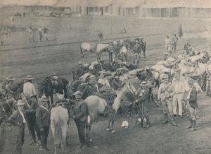 Plumers Pferd, c1900
