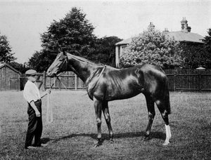 Polarstern, 1911