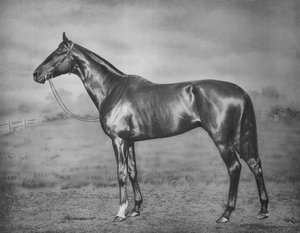 Polymelus, 1902-1924, 1911 von Unbekannt