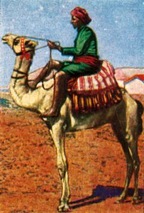 Postzustellung per Kamel, Arabien, um 1928 von Unbekannt