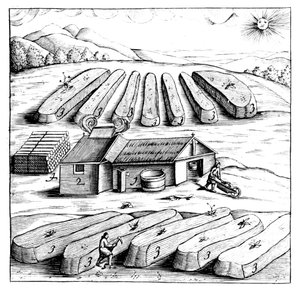 Herstellung von Salpeter, Kaliumnitrat oder KNO3, 1683 von Unbekannt