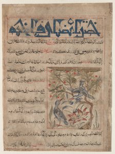 Eigenschaften von Ringeltauben recto, Über die Vorteile von Wachteln verso, ca. 1300