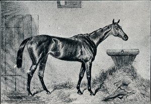 Königin Bertha, 19. Jahrhundert, 1911 von Unbekannt