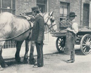 RSPCA-Inspektor untersucht ein Pferd, ca. 1903
