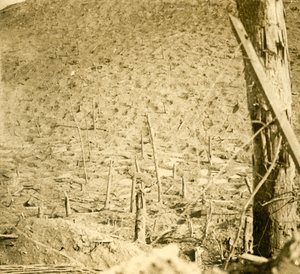 Schlucht bei Les Éparges, Nordfrankreich, um 1914-1918