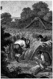 Ernten mit Sicheln und Binden der Garben, England, ca. 1800