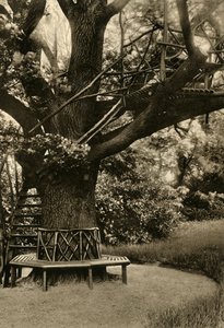 Rustikale Behandlung. - Sommerhaus in einem Baum, ein ideales Teehaus, 1920 von Unbekannt