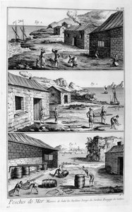 Salzen, Waschen, Verpacken von Sardinen, 1751-1777 von Unbekannt