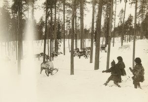 Schweden. Lappen beim Einfangen eines Rentiers