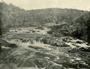Zweites Becken, South Esk River, 1901