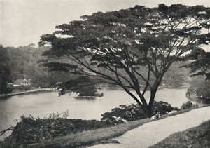 See, Tempel des Heiligen Zahnes und Bibliothek in Kandy, vom Viktoria-Drive nach Osten gesehen, 192 von Unbekannt
