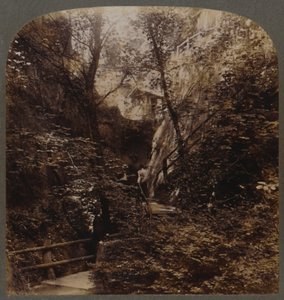 Shanklin Chine von weltweiter Berühmtheit, Isle of Wight, England, um 1910 von Unbekannt