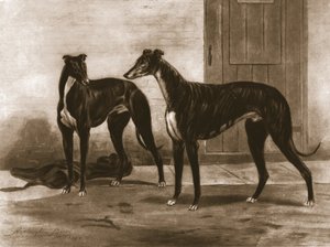 Simonian und Fullerton, ca. 1891, 1911 von Unbekannt