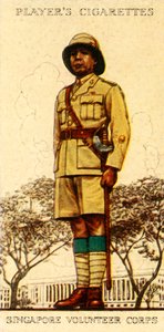 Singapore Volunteer Corps, 1936