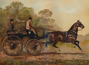 Einspänner-Phaeton-Pferd Columbine. Eigentum von Charles Baynes Esq., 1872, ca. 1879 von Unbekannt