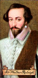 Sir Walter Raleigh, aus einer Serie von Zigarettenkarten von Unbekannt