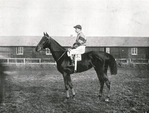 Wolkenkratzer, 1911
