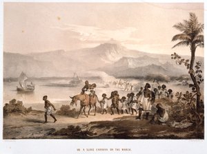 Sklavenkonvoi auf dem Marsch, 1852 von Unbekannt