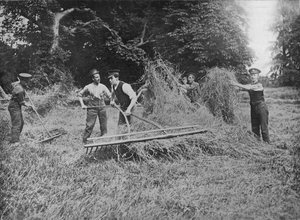 Soldaten helfen den Bauern beim Heueinbringen, 1915