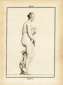 Statue der Venus, römische Göttin der Liebe, Schönheit, Sexualität und Fruchtbarkeit von Unbekannt