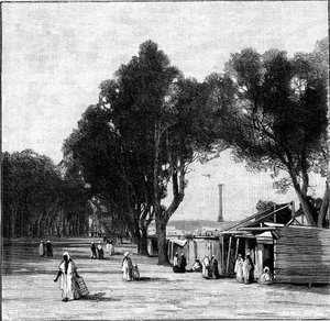 Straßenszene mit Pompeys Säule in der Ferne, Alexandria, Ägypten, 1900