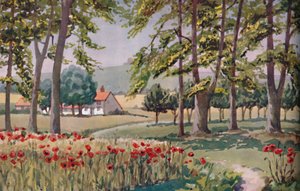 Sommer - Die physischen, chemischen und biologischen Veränderungen durch die Sonne im Laufe des Jahres, 1935 von Unbekannt