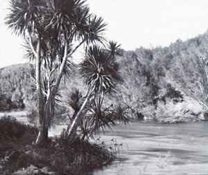 Te Waihou Fluss, Okoroire von Unbekannt
