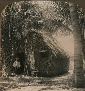 Reetgedecktes Cottage in Cocoanut Grove, Florida, USA, ca. 1900 von Unbekannt