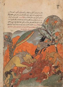 Der Angriff auf das Kamel durch den Löwen, die Krähe, den Wolf und den Schakal, Folio aus einem Kalila..., 18. Jahrhundert von Unbekannt