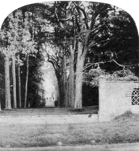 Die Allee, Guys Cliff, Warwick, frühes 20. Jahrhundert