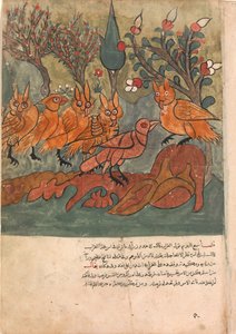 Die Krähe Spion spricht mit dem König der Eulen und seinen Ministern, Folio aus einem Kalila..., 18. Jahrhundert von Unbekannt