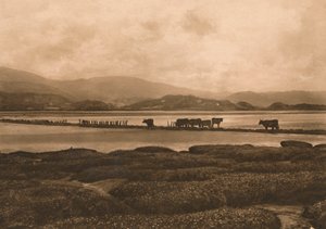 Der Dovey bei Ynyslas, 1902 von Unbekannt