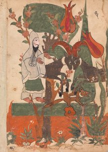 Der Fuchs und die kämpfenden Widder beobachtet vom Asketen, Folio aus einem Kalila wa Dimna, 18. Jahrhundert von Unbekannt